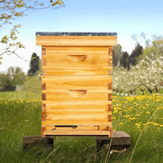 10-Frame Beehive Starter Kit, Wax-Coated Complete Beehive Kit Includes 1 Deep Hive Bee Box and 1 Bee Hive Super with Beehive Frames and Foundation for Beekeeping Supplement