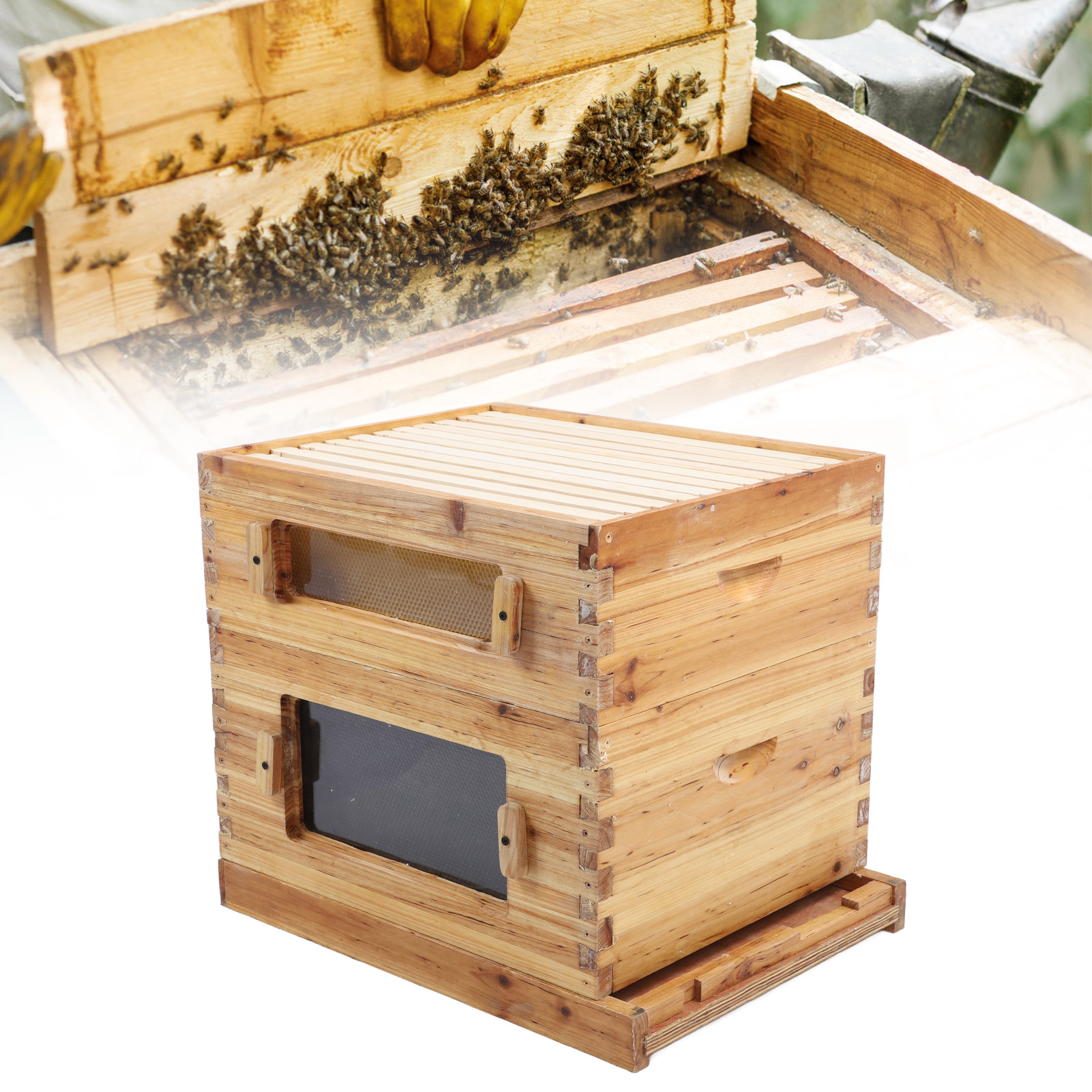 10 Frame Complete Beehive Kit Wooden Bee Hive Super Box for Beginners