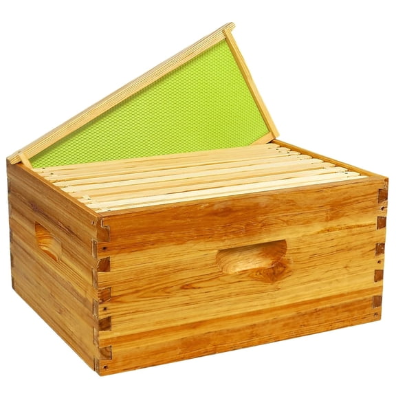 10 Frame Deep Bee Hive Box Langstroth Deep Brood Box 100% Dipped in Beeswax, Bee Box Sections of Wood for Beehives Include Beehive Frames and Green Wax Foundations, 1 Set(Unassembled)
