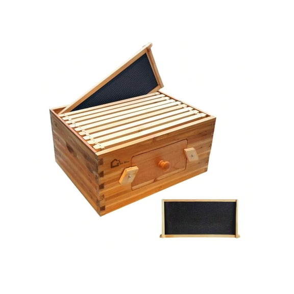 10 Frame Deep Brood Bee Hive Box, Langstoth Beehive Deep Box With Transparent Acrylic Windows, Bee Box Dipped In 100% Beeswax Includes Wooden Beehive Frames & Waxed Foundations For Beginner Beekeeper