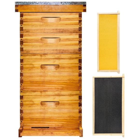10 Frame Langstroth Bee Hive Beeswax Coated, Includes Beehive Frames and Foundations, 2 Deep Boxes & 2 Medium Boxes
