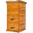 thumbnail image 1 of 10-Frame Langstroth Beehive Dipped in 100% Beeswax, Complete Bee Hives and Supplies Starter Kit Includes 2 Deep Hive Bee Box and 2 Bee Hive Super with Beehive Frames and Foundation, 1 of 6