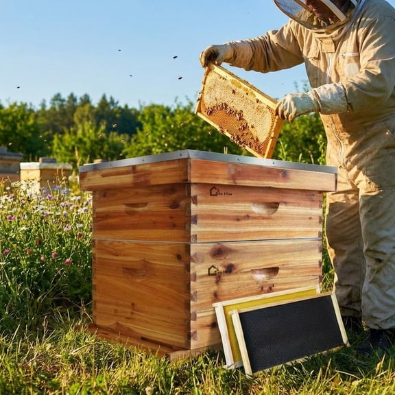10-Frame Langstroth Beehive Kit, Beeswax-Coated & Weatherproof Cedar Wood, 1 Deep + 1 Medium Box with Dovetail Joints  Traditional Fir Hive, Easy Assembly (No Window), 50x41