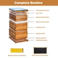 thumbnail image 1 of 10-Frame Langstroth Beehive Starter Kit – 2 Deep Brood Boxes, 1 Medium Super, Beeswax-Coated Fir, Cedarwood Frames – Windowless Traditional Fir Beehive, 2 Deep Boxes + 1 Medium Box 56*46*76, 1 of 8
