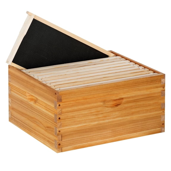10 Frame Langstroth Deep Brood Beehive Box, Premium Cedar Dipped in Beeswax, Complete Frames & Wax Foundations, Deep Brood Hive Kit for Beginner Beekeepers(Unassembled)