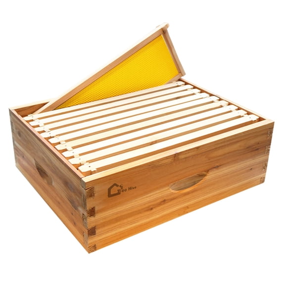 10 Frame Medium Langstroth Honey Super Beehive Box, 100% Beeswax Coated Bee Hive with Frames Foundations for Beekeeping