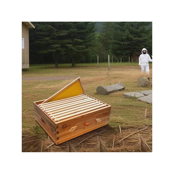 10 Frame Medium Super Bee Hive Box, Langstoth Beehive Honey Super Box, Bee Box With Acrylic Window Dipped In 100% Beeswax Includes Wooden Beehive Frames & Waxed Foundations For Beginner Beekeeper