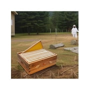 10 Frame Medium Super Bee Hive Box, Langstoth Beehive Honey Super Box, Bee Box With Acrylic Window Dipped In 100% Beeswax Includes Wooden Beehive Frames & Waxed Foundations For Beginner Beekeeper