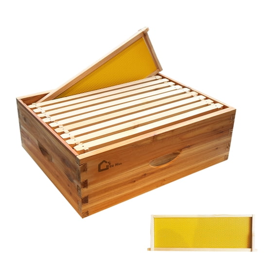 10-Frame Medium Super Beehive Box Kit  Langstroth Compatible with Natural Beeswax Coated Cedar Wooden Frames and Wax Foundations for Beekeeping Beginners and Pros