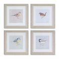 thumbnail image 1 of 10" Framed Bird Print (Set of 4), 1 of 1