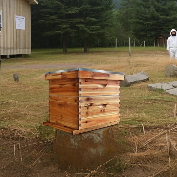 10-Frames Complete Beehive Kit, 100% Beeswax Coated Bee Hive Includes 1 Deep Box and 1 Medium Bee Box with Beehive Frames and Beeswax Coated Foundation for Beekeeping Supplement