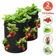 10 Gallon Strawberry Planters,Strawberry Grow Bag with Handles, Breathable Felt Planting Bag for Courtyard Gardening