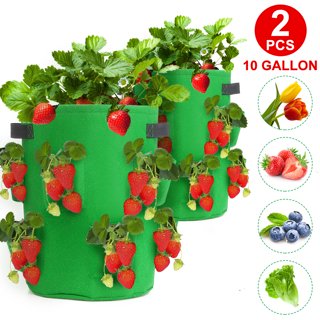 Felt Planting Grow Bag Garden Planting Pot For Vegetables Flower Tomato  Planting Container For Outdoor Large Grow Bags Garden Supplies - Temu