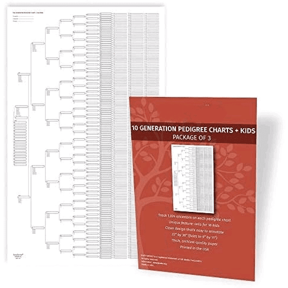 10 Generation Blank Pedigree Charts (Package of 3) | Archival Quality Genealogy Chart Blanks$$Office