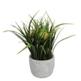 thumbnail image 1 of 10" Green and Yellow Potted Artificial Grass and Eggs Easter Decoration, 1 of 4