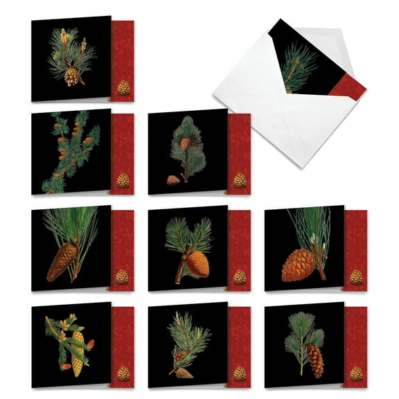 10 Happy Holidays Cards Pack - Black Pine