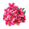 10-Head Simulated Multi-Leaved Lily Bouquet B – Ngheia Realistic Flowers for Wedding Decor Home and Garden, DIY Bouquets for Hotel & Centerpieces