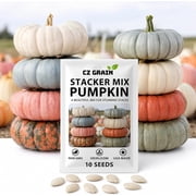 10 Heirloom Pumpkin Seeds for Planting, Unique Decorative & Giant Pumpkin Varieties, Non-GMO Fall Garden Seeds, Rare Specialty Pumpkins for Harvest Decor & Home Gardens Stacker Mix