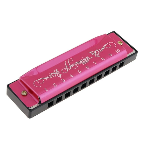 10 Hole 10 Tone Key C Blues Harmonica for Beginner with Case, Stainless Steel Mouth Organ