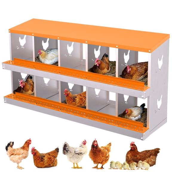 10-Hole Metal Chicken Nesting Box - Galvanized Steel with Roll-Away Egg Design