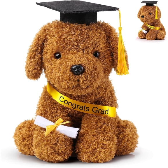 10 Inch 2026 Graduation Season Dog Preschool Plush Stuffed Animal Kindergarten Puppy with Graduation Hat, Diploma and Sash, Plush Dog Gift for Student, Kids, Friend, Relatives