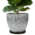 thumbnail image 1 of Epfamily 10-Inch Speckled Ceramic Planter Pot with Saucer | Large Modern Pot for Indoor Outdoor Floor Plants & Patio Decor, 1 of 6