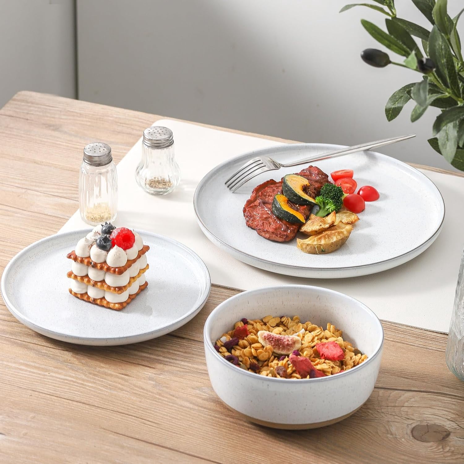 Ceramic Dinner Plates Set of 4, 10 Inch, Microwave Dishwasher Oven Safe ...