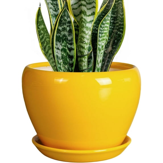 10 Inch Ceramic Planter Pot, Ceramic Plant Pot for Indoor Outdoor Plants, Large Flower Pot with Drainage Hole and Saucer, Blue