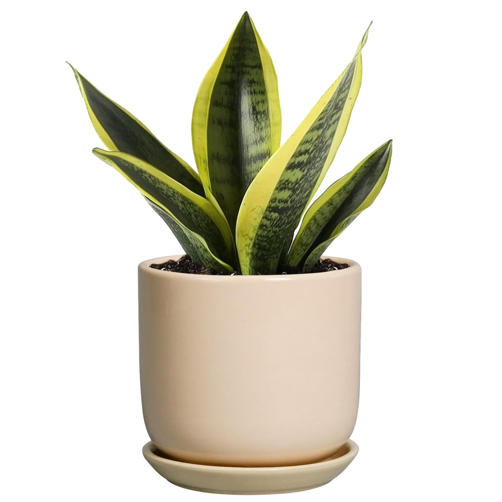 10 Inch Ceramic Planter with Drainage Hole and Saucer – Large Indoor Outdoor Flower Pot for Home Decor, Modern White Plant Pot
