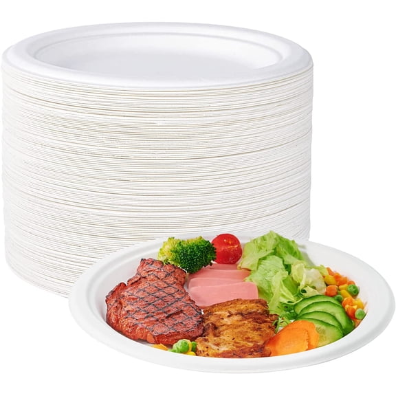 10 Inch Compostable Sugarcane Bagasse Paper Plates 150 Pack White