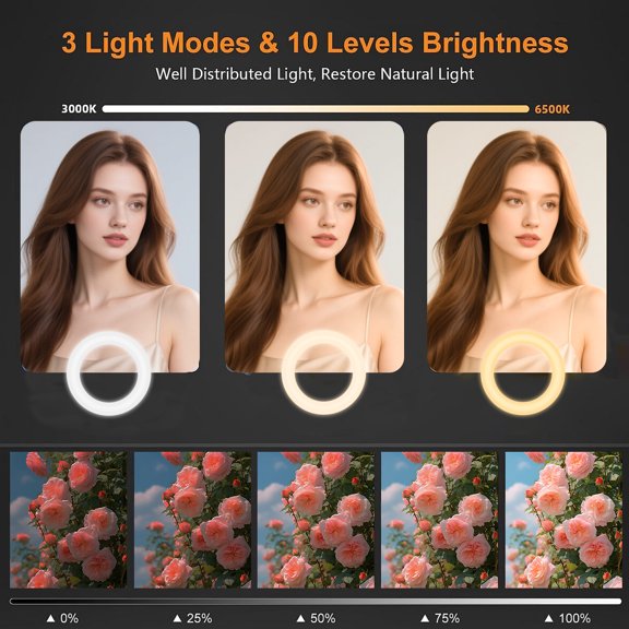 10 Inch Desktop Circular Soft Ring Light Set, Adjustable Beauty Fill Light for Live Streaming, Smartphone Shooting, Indoor Portrait Photography and Influencer Content Creation