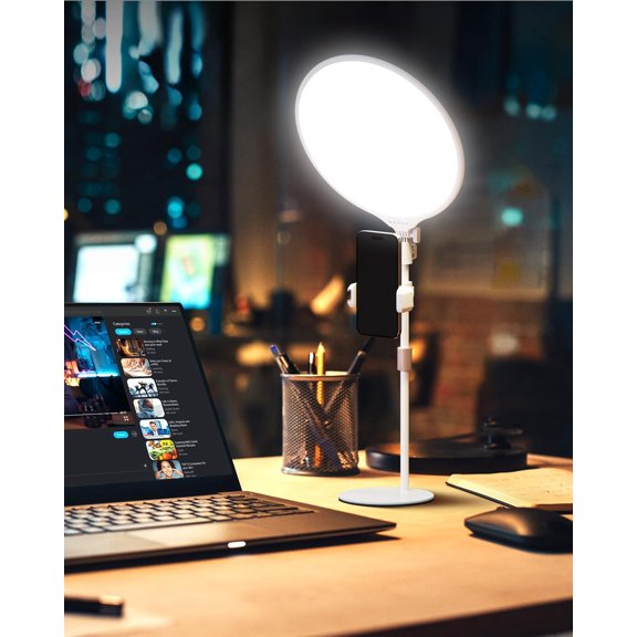 10 Inch Dimmable LED Desk Light Adjustable Brightness LED Lamp for Video Conference Study Work Home Office Eye Protection