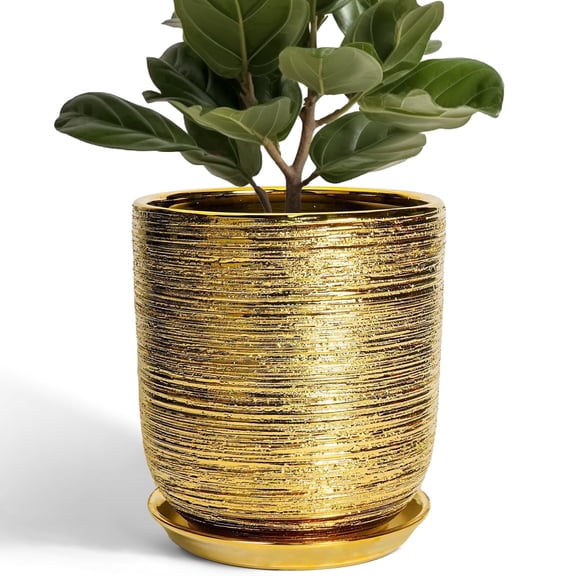 10 Inch Gold Ceramic Planter with Drainage Hole – Large Round Flower Pot for Snake Plants, Monstera, Indoor Outdoor