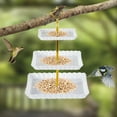 thumbnail image 1 of 10-Inch Hanging Glass Bird Bath, Hummingbird Feeder with Rust-Proof Chains, Garden Yard Decoration, Easy-Clean Shallow Bowl for Outdoor Bird Attraction, 1 of 6