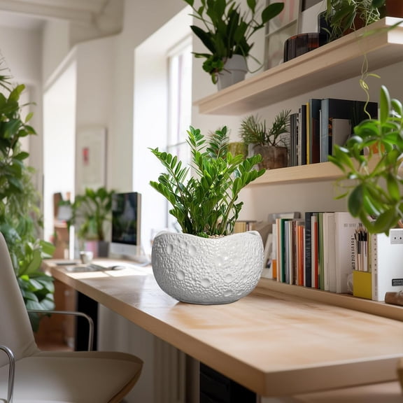 10 Inch Plant Pot - Ceramic Planter for Indoor Outdoor, Round Bonsai Pots, Decorative Flower Pots with Drainage Hole, Modern Planters, House Decor, Home Gifts, White