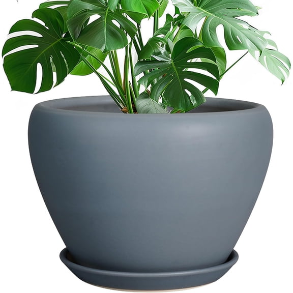 10 Inch Plant Pot, Ceramic Planter, Matte Gray