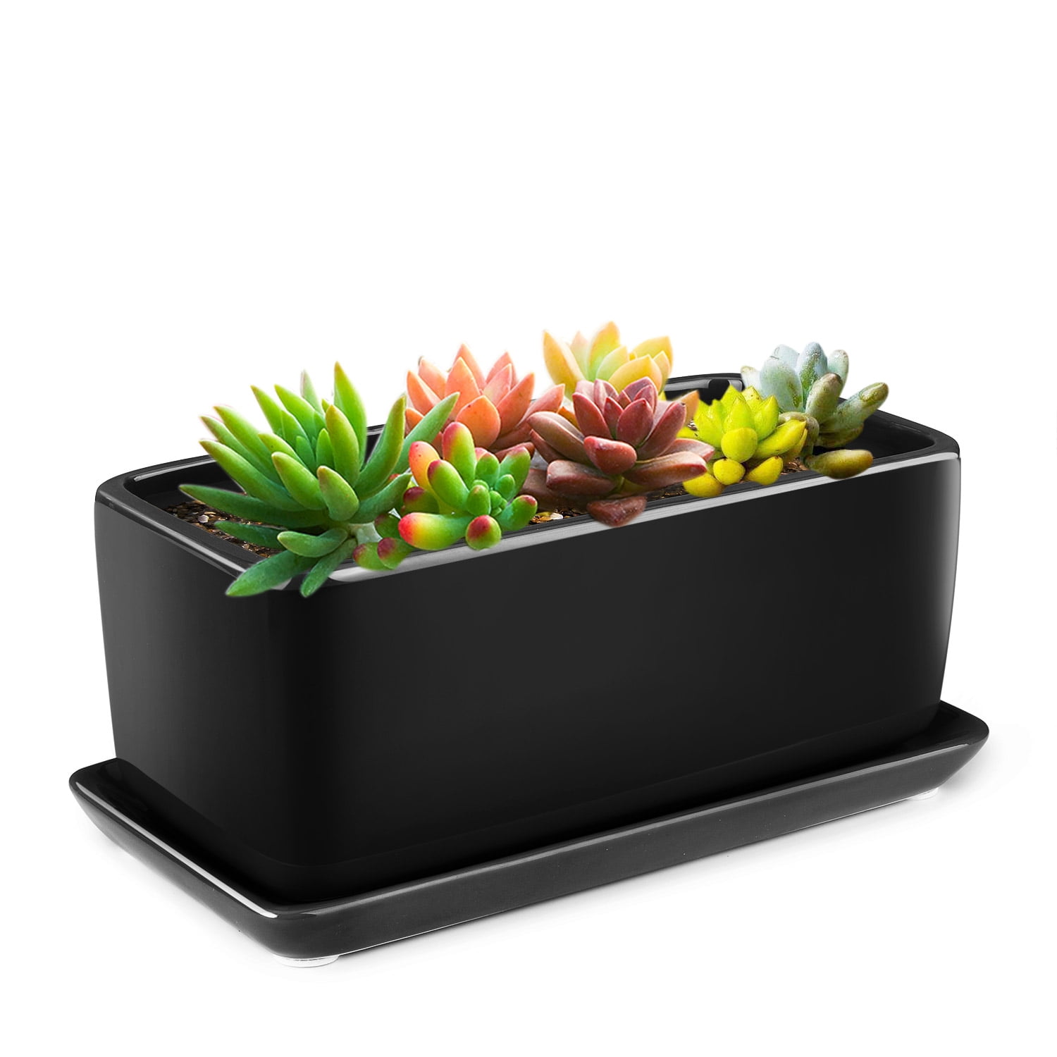 10 Inch Rectangular Ceramic Succulent Planter Pot - Cactus Herb Flower Container Window Box Holder with Removable Drip Tray Base for Tabletop Desktop Indoor Outdoor Home Office Garden (Black)