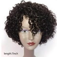thumbnail image 1 of 10 Inch Short Curly Brazilian Human Hair Wig Glueless Lace Front Wig Heat Resistant Synthetic Hair For Black Women, 1 of 9