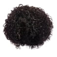 thumbnail image 1 of 10 Inch Short Curly Brazilian Human Hair Wigs for Women - Quality Hair Wigs for Natural and Versatile Styling, 1 of 9
