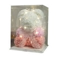thumbnail image 1 of 10 Inch Valentine's Day Rose Teddy Bear with 3M LED String Lights, Fully Assembled Artificial Flower Bear in Transparent Gift Box, Romantic Stuffed Animal Gift for Her, 1 of 5