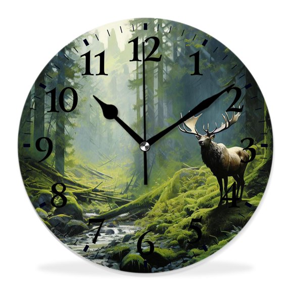 10 Inch Wall Clock Battery Operated Silent Clock Decorative for Office, Kitchen, Outdoor, Living RoomRain forest Wildlife National Park America Picture