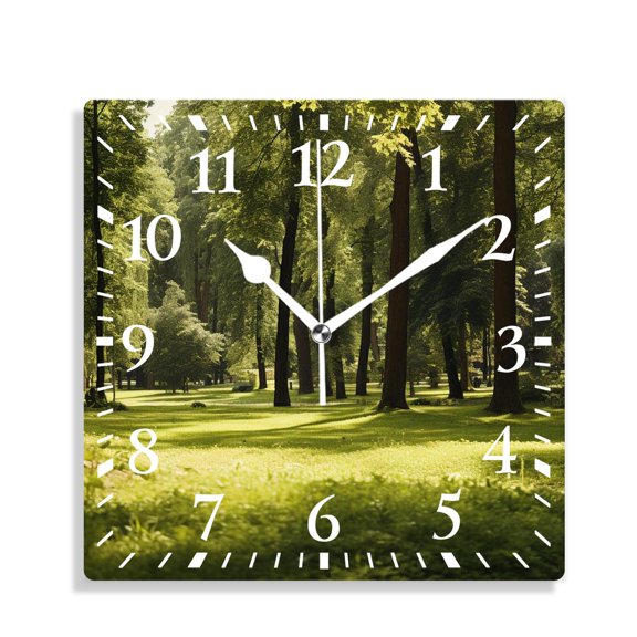 10 Inch Wall Clock Battery Operated Silent Clock Decorative for Office, Kitchen, Outdoor, Living RoomOutdoor Footpath Green City Park Sun Rays Freshness Hiking forest Elegant
