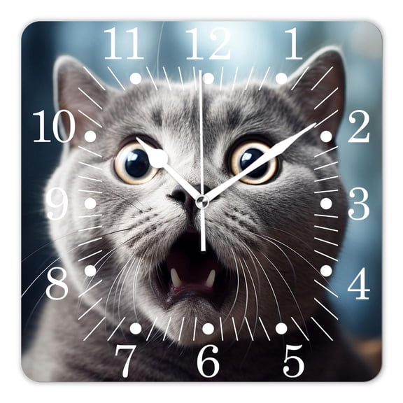 10 Inch Wall Clock Battery Operated Square Clock for Office, Kitchen, Outdoor, Living Room,Funny Crazy Surprised Wide Big Eye Cat American Shorthair Beautiful