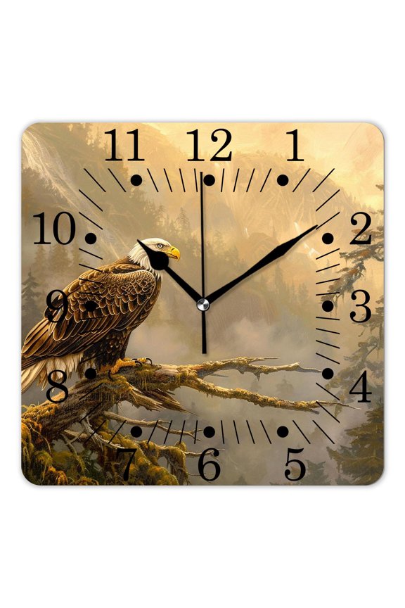 10 Inch Wall Clock Battery Operated Square Clock for Office, Kitchen, Outdoor, Living Room,Bald Eagle Cute