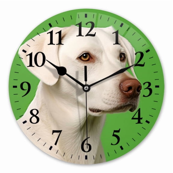 10 Inch Wall Clock Battery Operated Square Clock for Office, Kitchen, Outdoor, Living Room, White Labrador Retriever Looking To The Side
