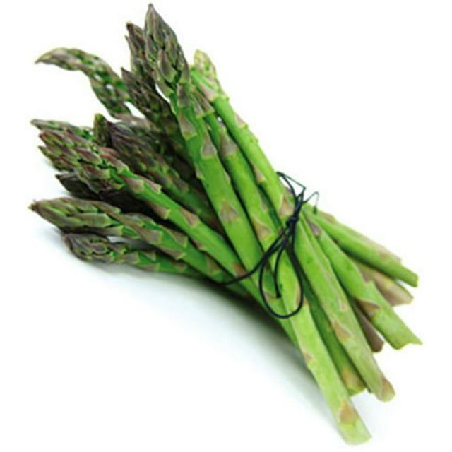 10 JERSEY KNIGHT Asparagus Plants / bareroot crowns Organic NONGMO