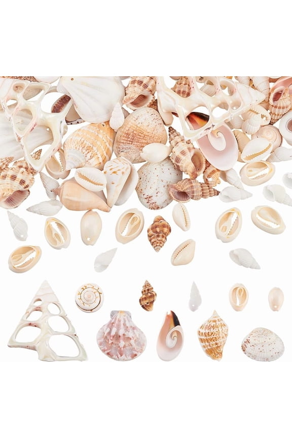 10 Kinds Small Sea Shell 250g Ocean Beach Spiral Seashells Craft Charms with 1~2mm Hole