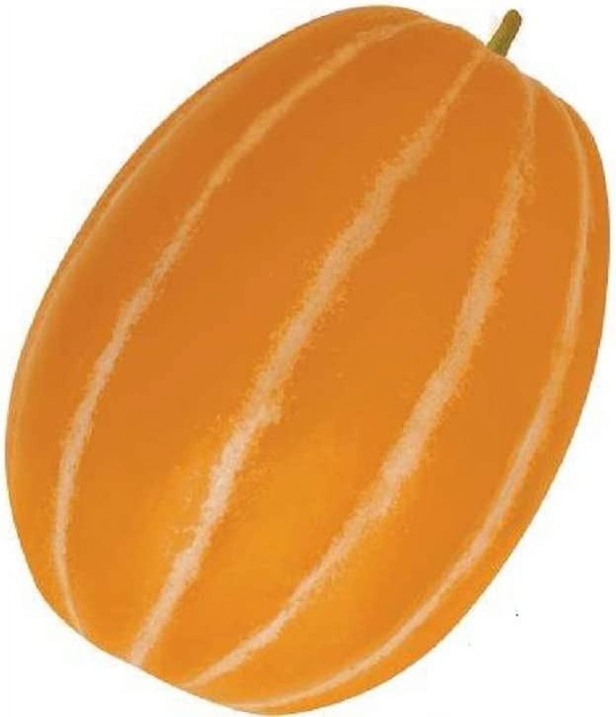 10 Korean Melon Seeds Rare Orange Skinned Melon Dae Jang Geum