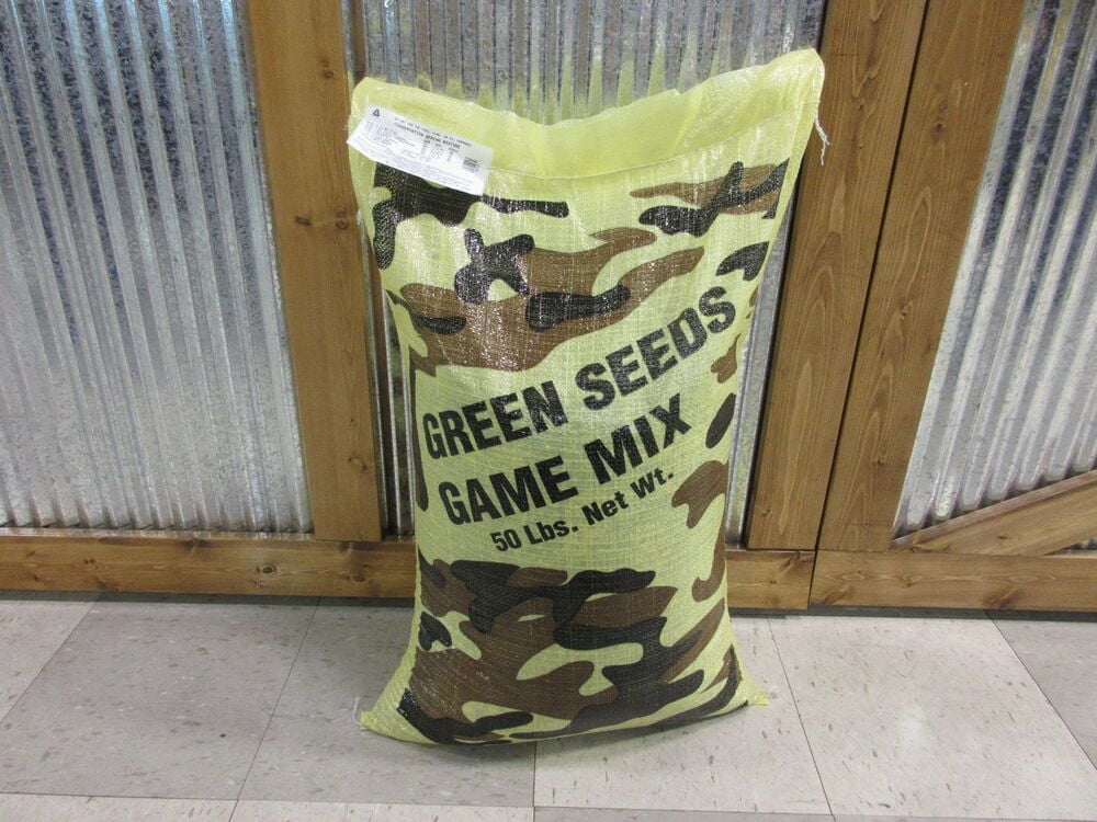 10 LBS SPRING SUMMER DEER TURKEY FOOD PLOT MIX MILLET SUNFLOWER SORGHUM ...