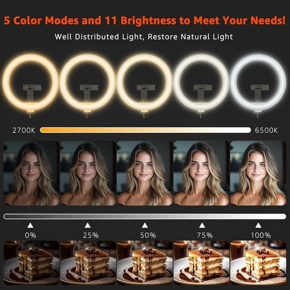 10" LED Ring Light with Overhead Phone Stand, CRI95 1200lm Dimmable Lighting, Adjustable Metal Arm with Remote & Phone Holder, for Streaming, Makeup, Zoom Calls, Photography